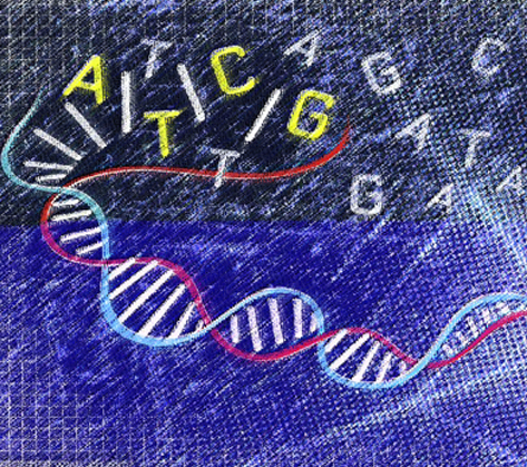成人康健综合治理-基因密码
